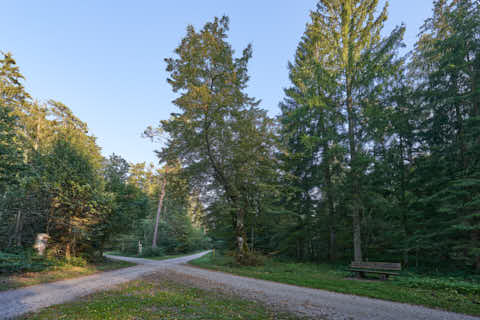 Gemeinde Altötting Landkreis Altötting Forst Fürstenweg Steinhäufellinde (Dirschl Johann) Deutschland AÖ